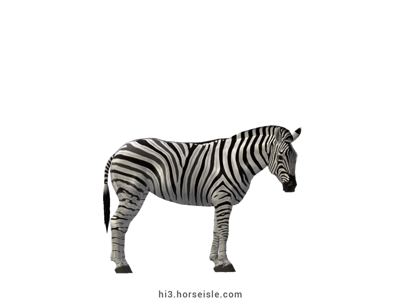 Plains Zebra White Striped Coat (normal view)